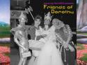 'Friends of Dorothy' - new queer music compilation out on vinyl